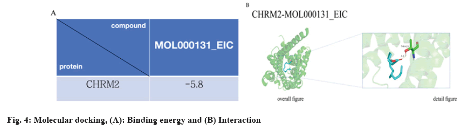 IJPS-Binding