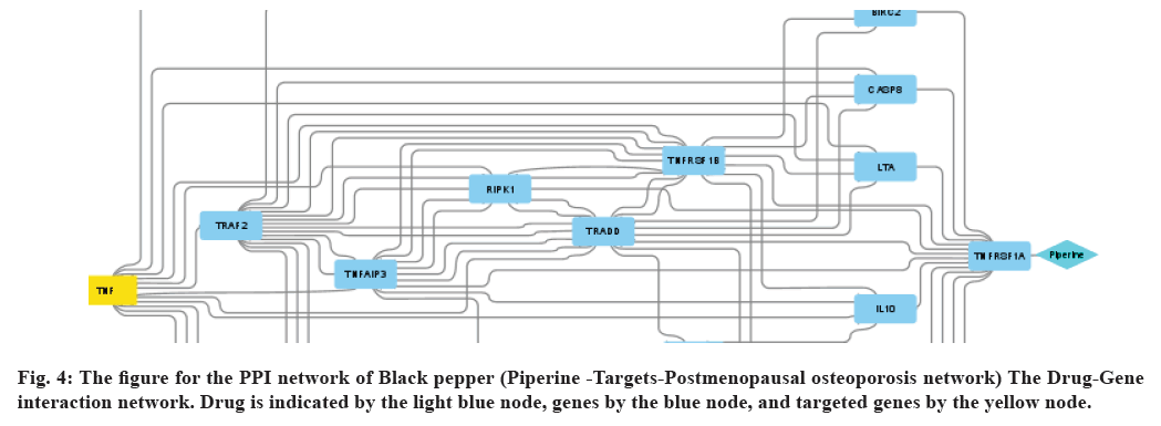 IJPS-Black