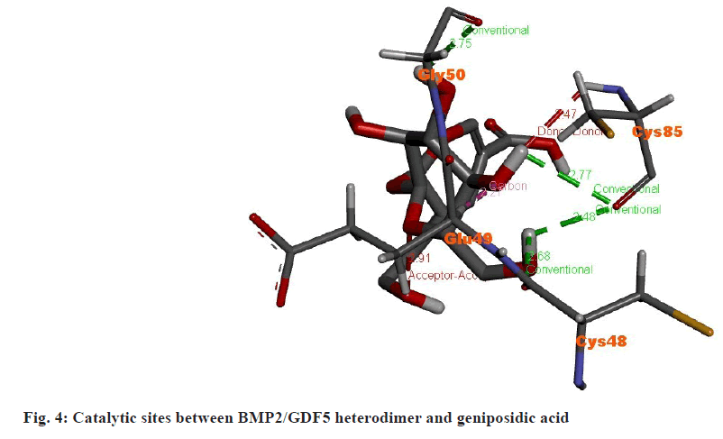 IJPS-Catalytic