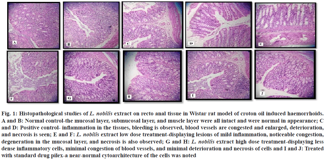 Histopathological