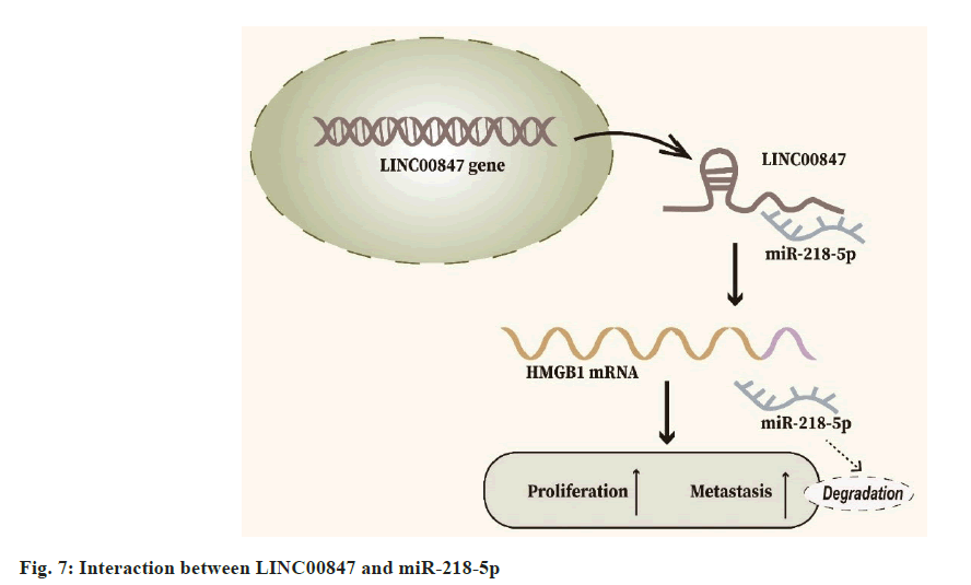 IJPS-Interaction