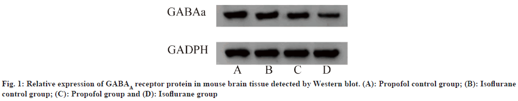 IJPS-Isoflurane