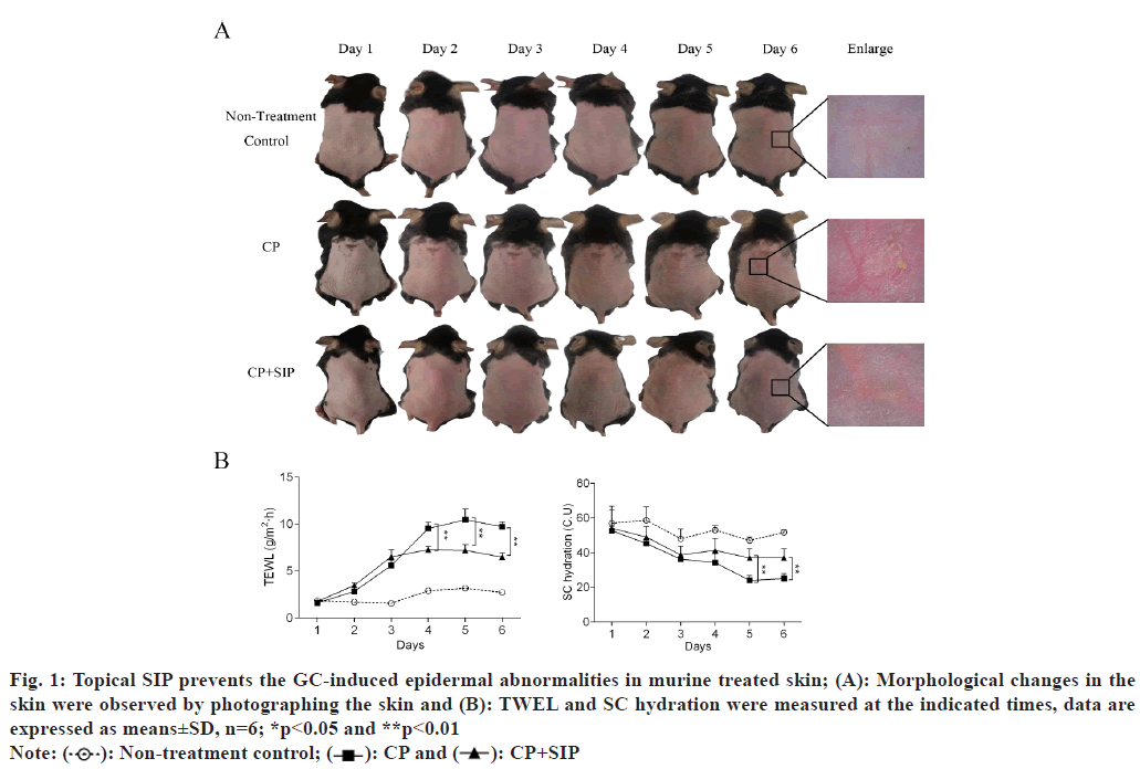 IJPS-Topical