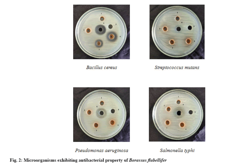 IJPS-antibacterial