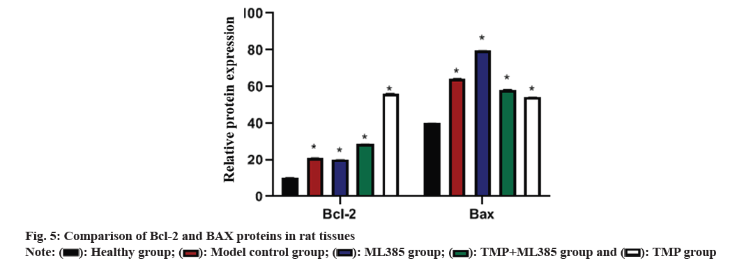 IJPS-bax-proteins