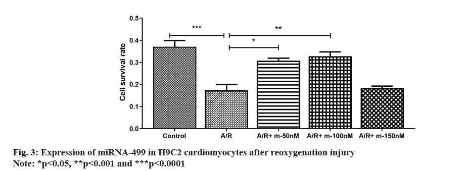 IJPS-cardiomyocytes