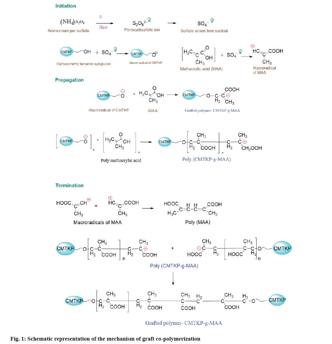 IJPS-co-polymerization