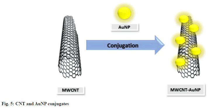 conjugates