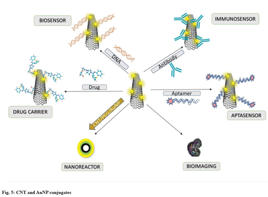 conjugates