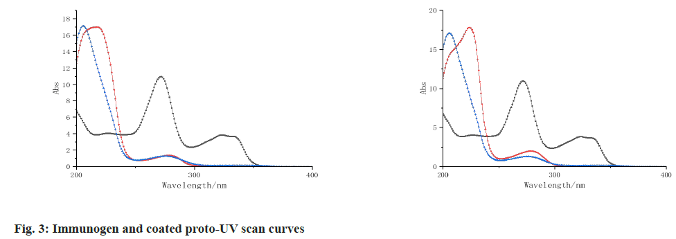 IJPS-curves