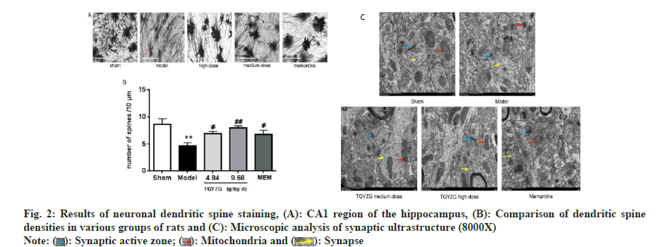 IJPS-dendritic