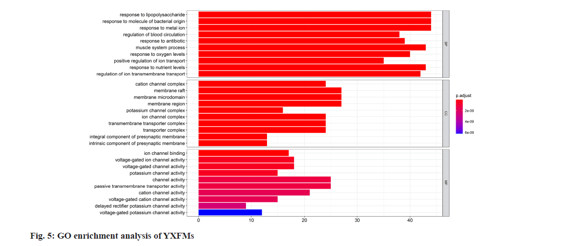 IJPS-enrichment-analysis