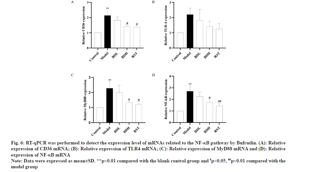 IJPS-expression