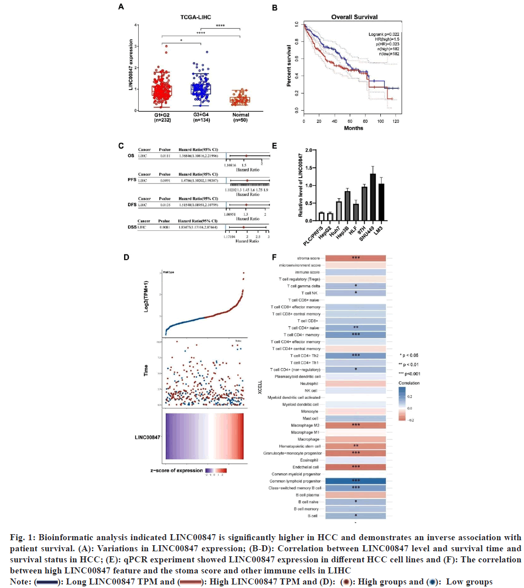 IJPS-expression