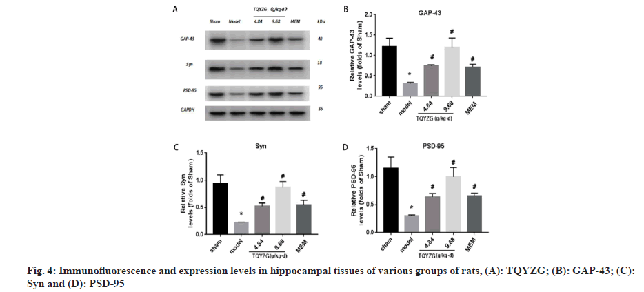 IJPS-expression