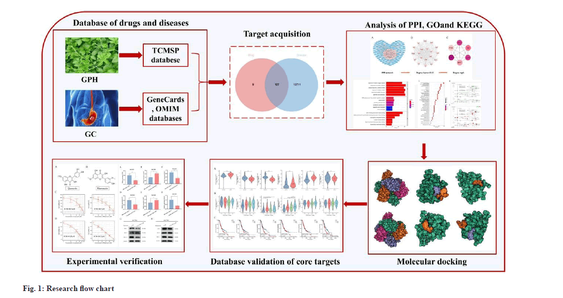 IJPS-flow-chart