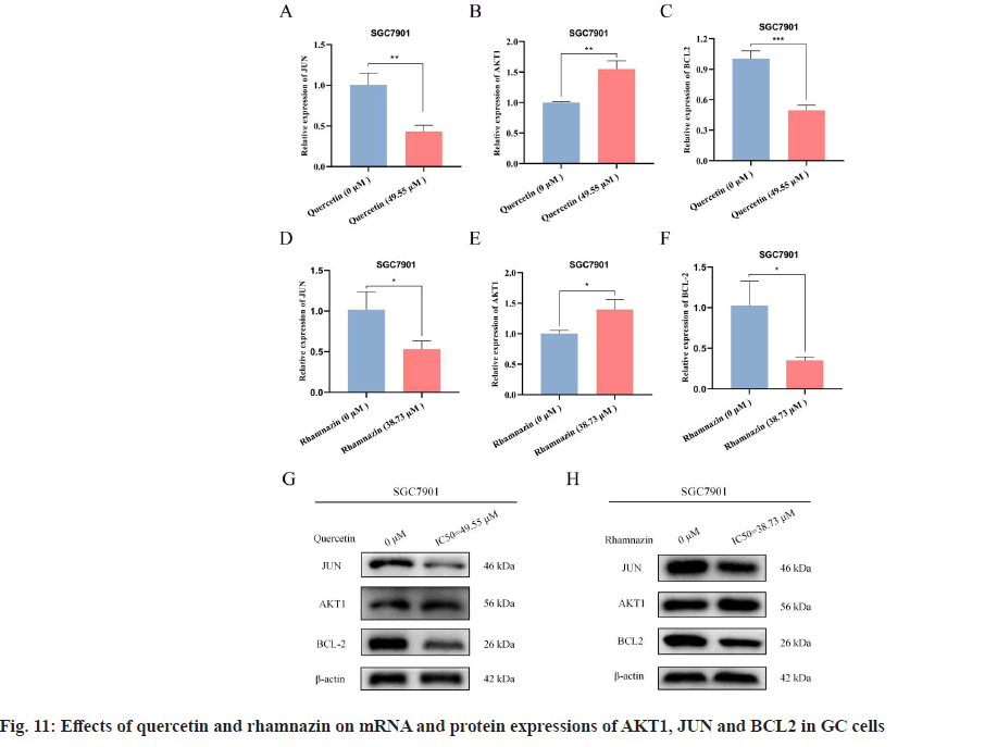 IJPS-gc-cells