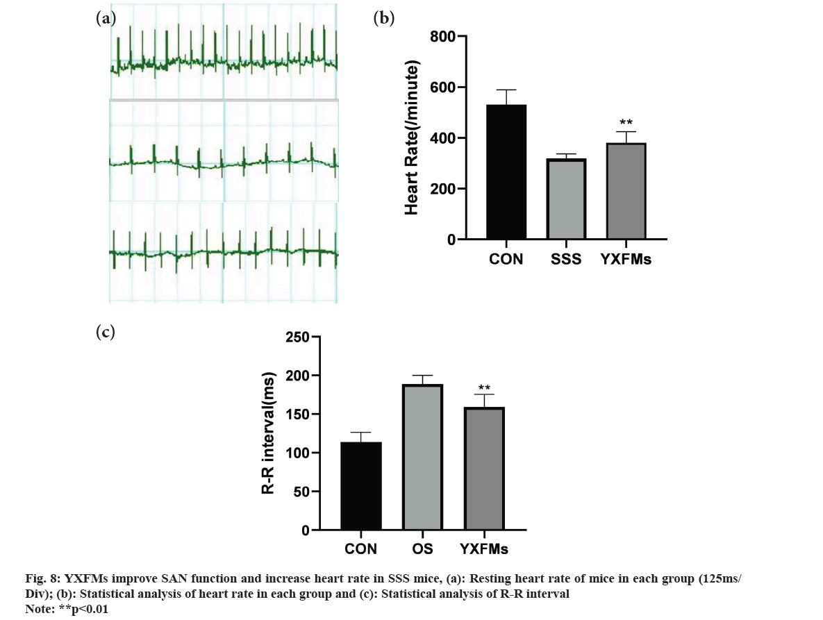 IJPS-heart-rate