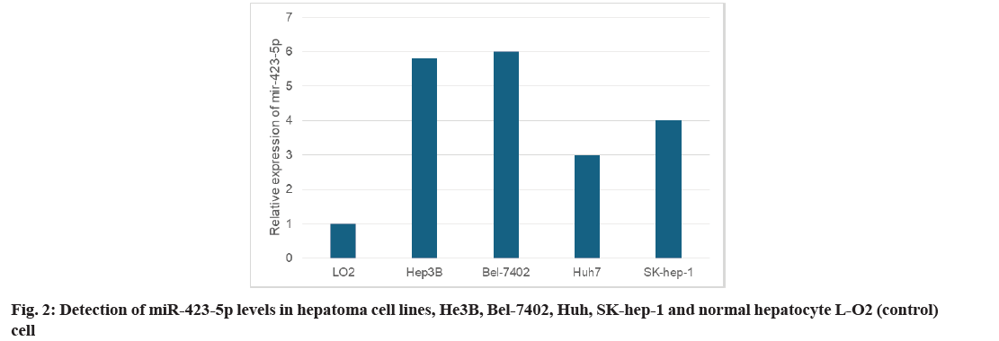 IJPS-hepatoma-cell-lines