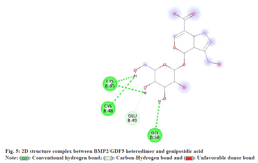 IJPS-heterodimer