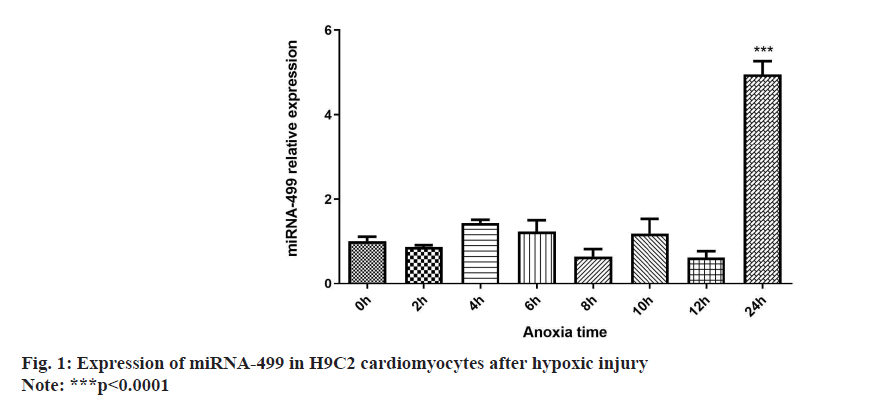 IJPS-hypoxic-injury