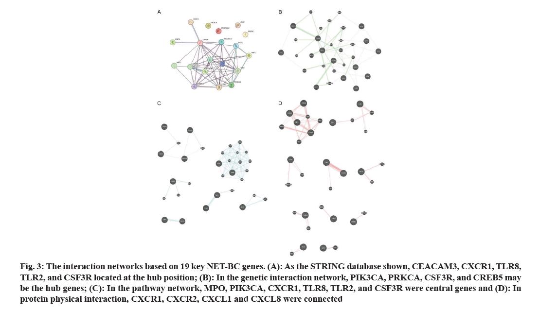 IJPS-interaction-networks