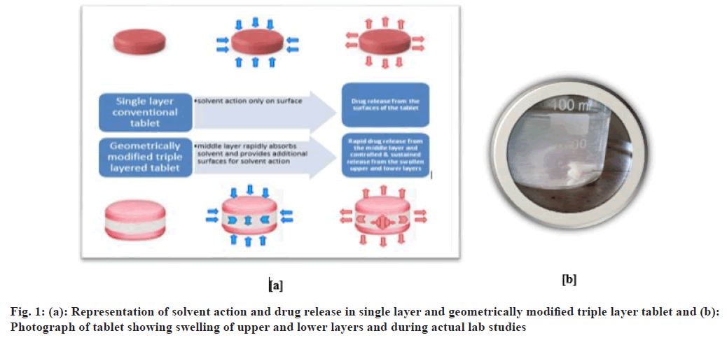 IJPS-layer