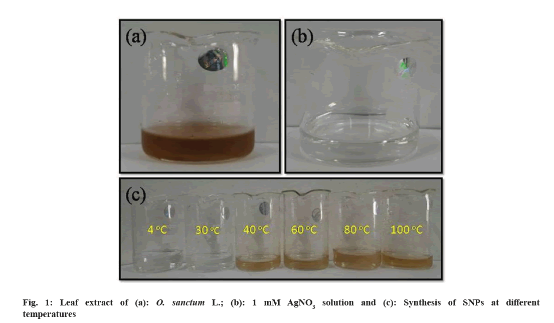 IJPS-leaf-extract