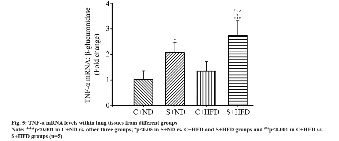 IJPS-lung