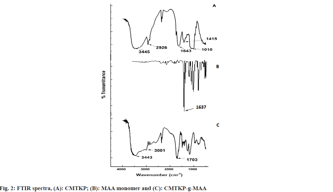 IJPS-maa-monomer