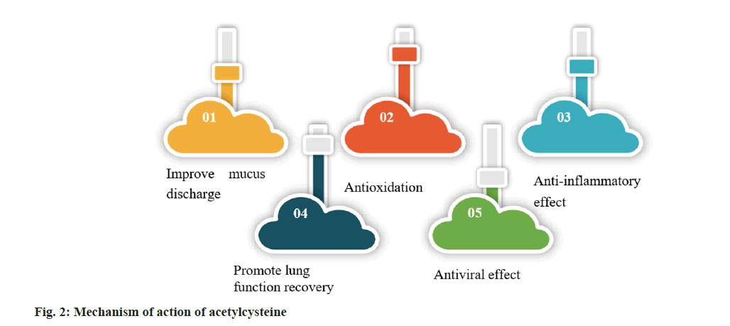 IJPS-mechanism