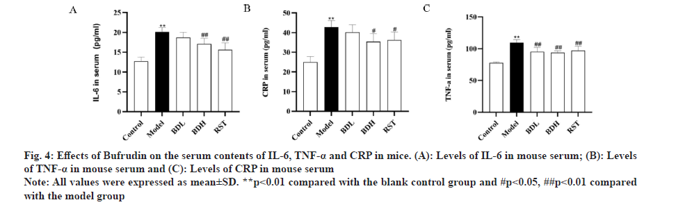 IJPS-mouse