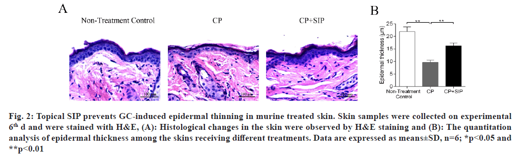 IJPS-murine