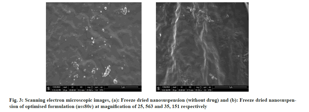 IJPS-nanosuspension