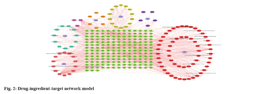 IJPS-network-model