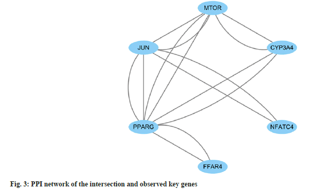 IJPS-observed