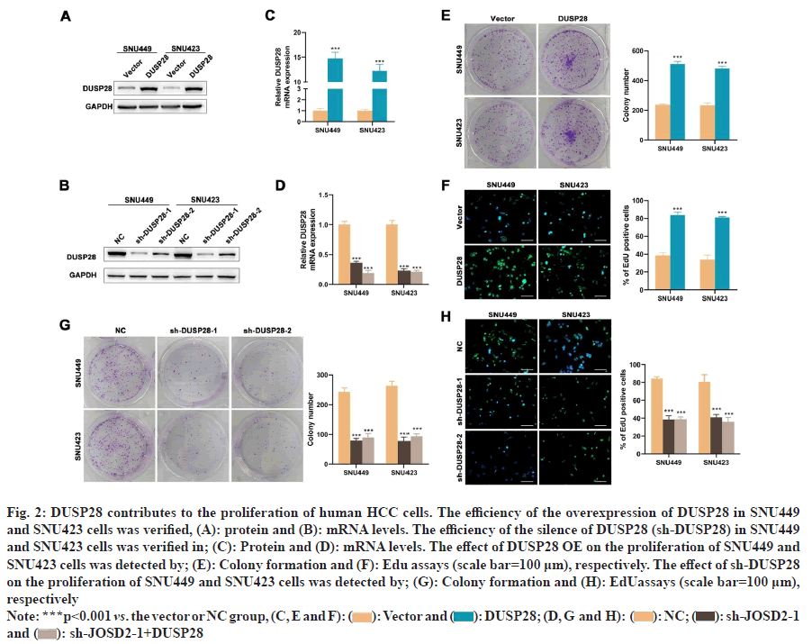 IJPS-overexpression