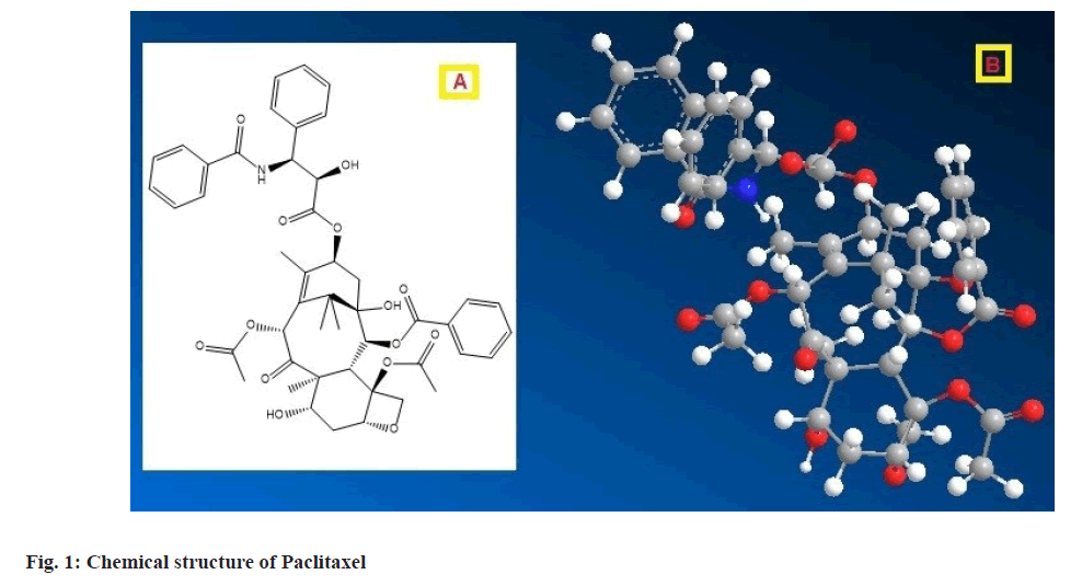 IJPS-paclitaxel