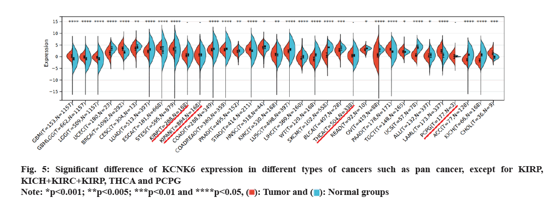 IJPS-pan-cancer