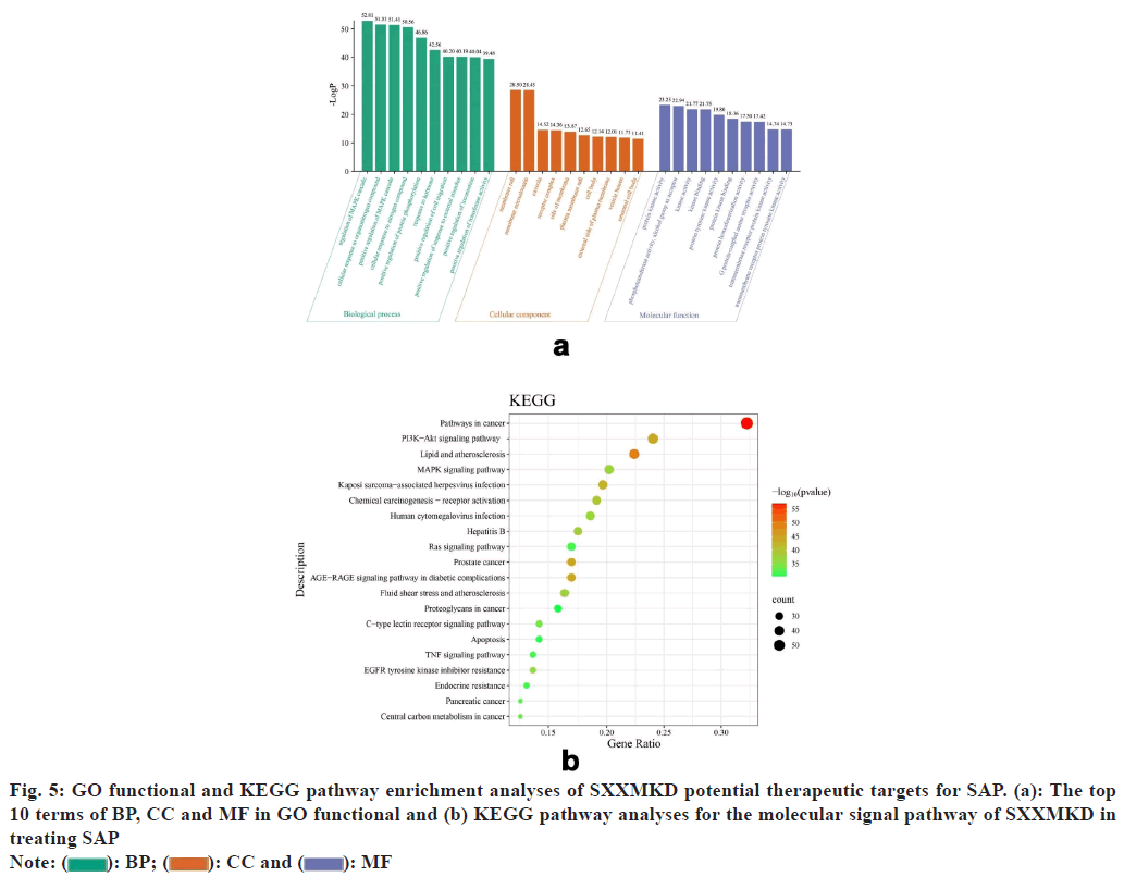 IJPS-pathway