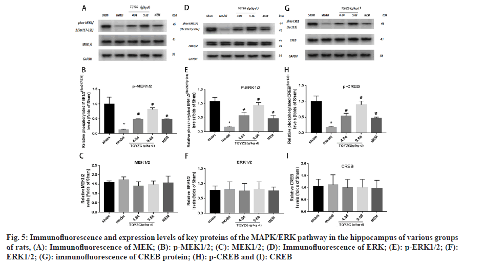 IJPS-pathway