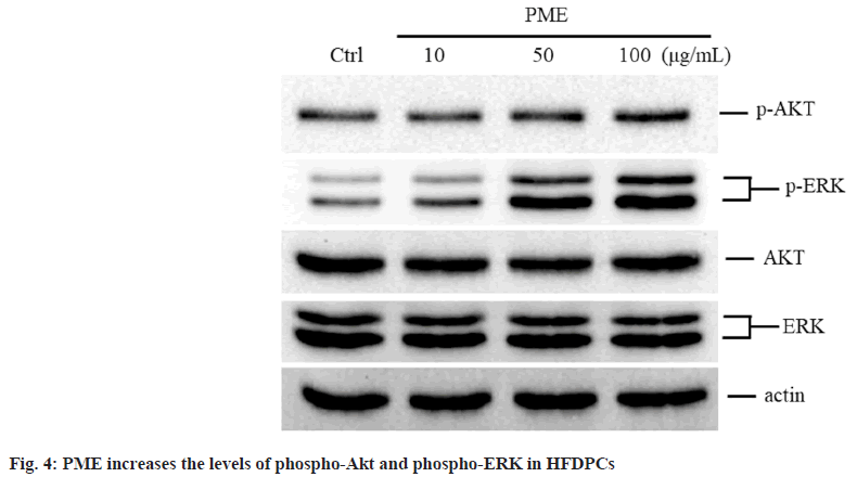 phospho