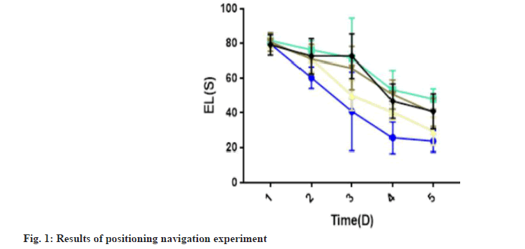 IJPS-positioning