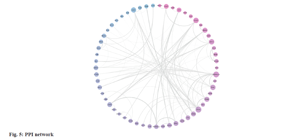 IJPS-ppi-network