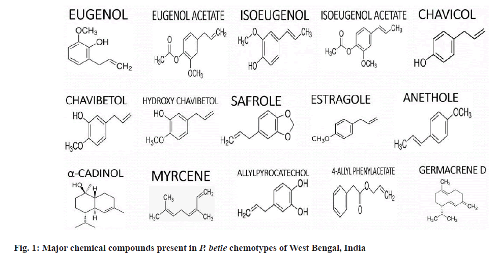 IJPS-present