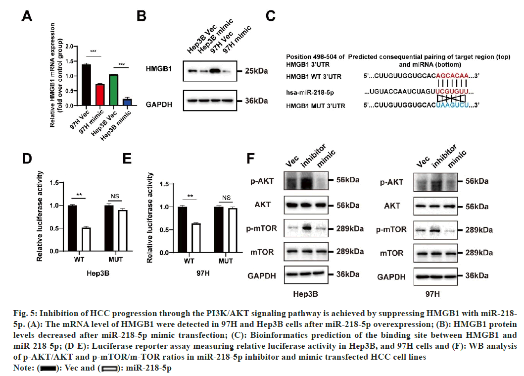 IJPS-progression