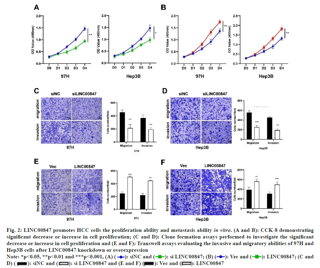 IJPS-proliferation