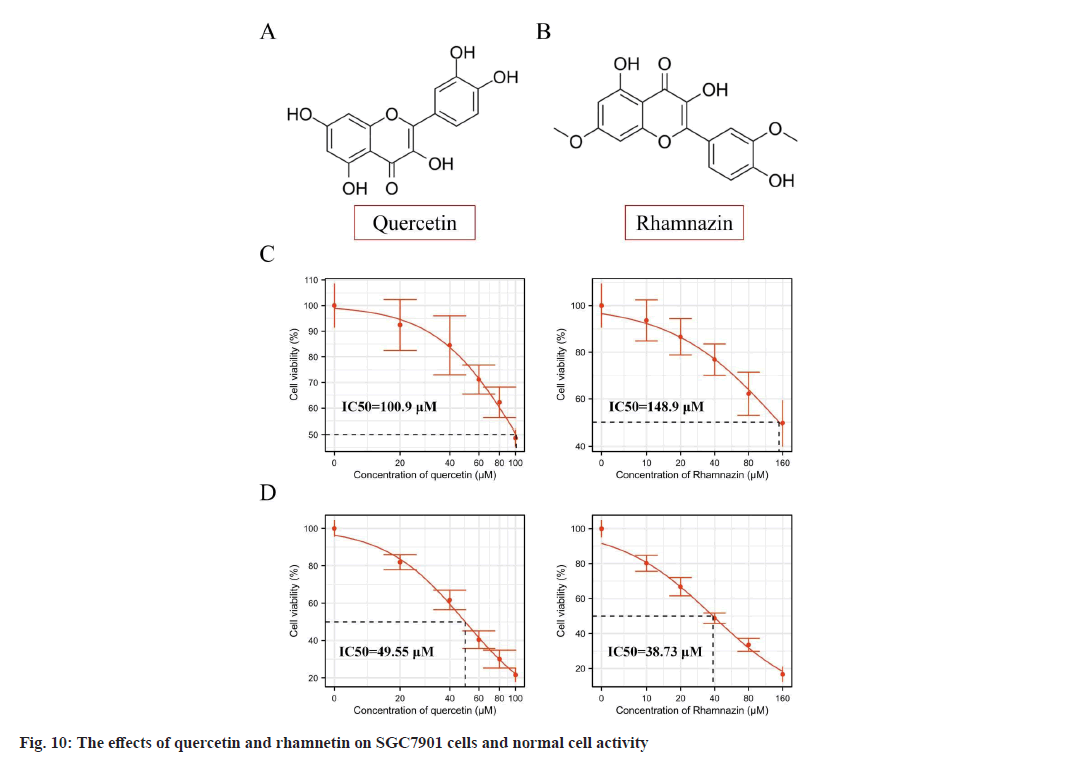 IJPS-quercetin-rhamnetin