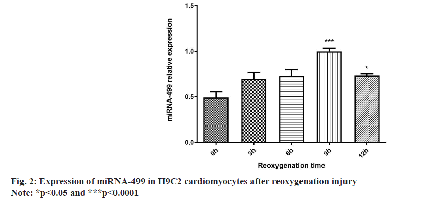 IJPS-reoxygenation-injury