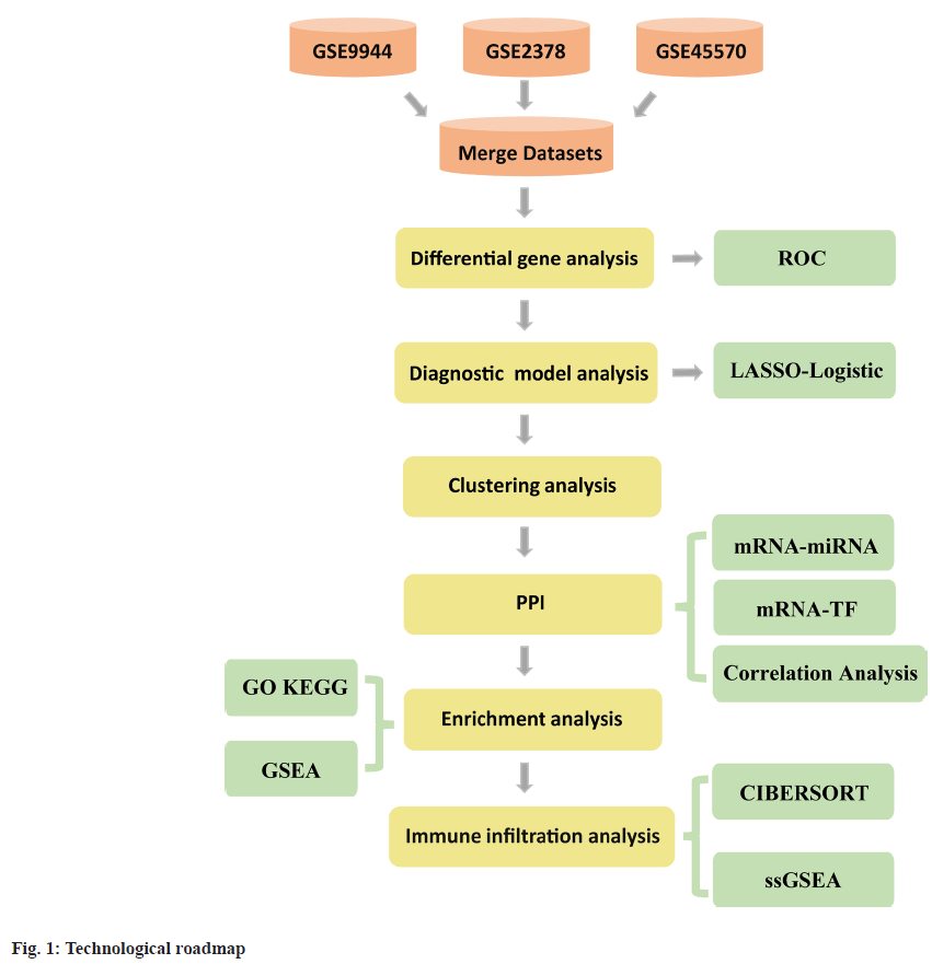 roadmap